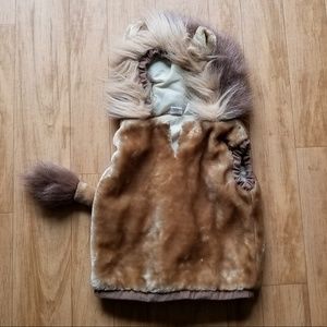 Lion Costume